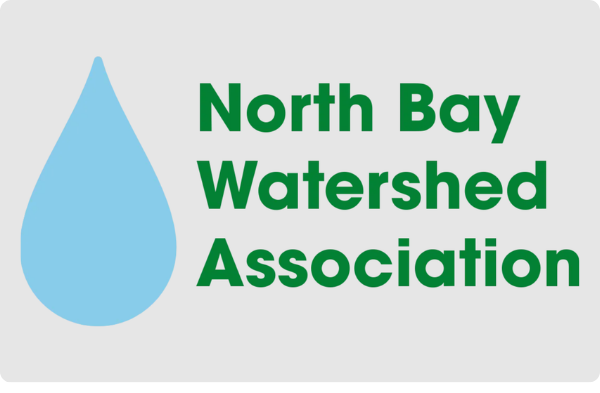 NBWA logo 1.png